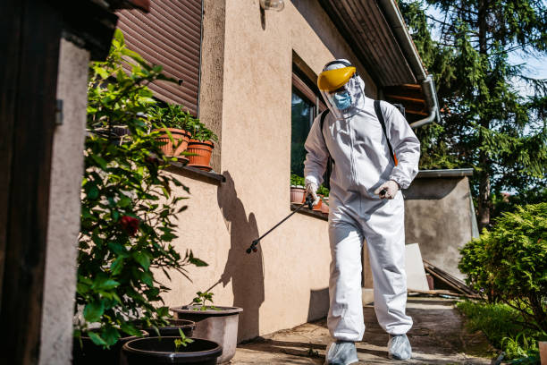 Best Flea Control Services  in Evergreen, MT
