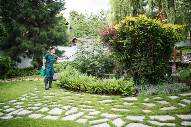 Best Pest Prevention Services  in Evergreen, MT