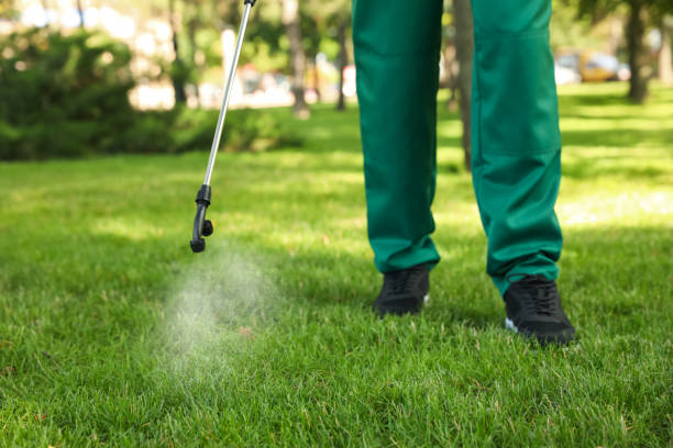 Best Wasp Removal Services  in Evergreen, MT