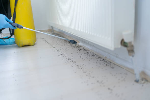 Pest Prevention Services in Evergreen, MT