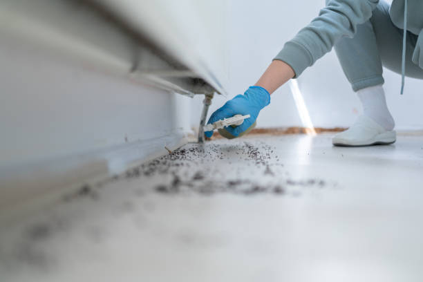 Best Affordable Pest Control Services  in Evergreen, MT